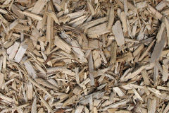 biomass boilers Woodnewton